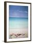 Sun, Sand and Money I-Lincoln Seligman-Framed Giclee Print