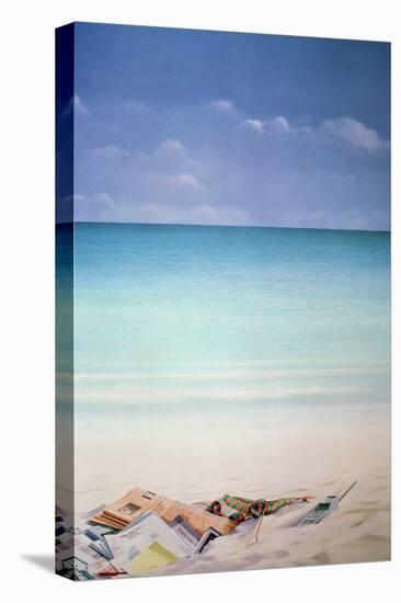 Sun, Sand and Money I-Lincoln Seligman-Stretched Canvas