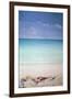 Sun, Sand and Money I-Lincoln Seligman-Framed Giclee Print