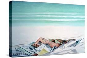 Sun, Sand and Money III-Lincoln Seligman-Stretched Canvas