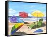 Sun Screen-Scott Westmoreland-Framed Stretched Canvas