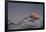 Sun Sets on Mount Everest Seen from Kala Patar, Khumbu, Himalayas, Nepal, Asia-Alex Treadway-Framed Photographic Print