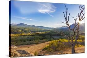 Sun sets over autumn aspen in the South Fork Two Medicine River Valley in the Lewis and Clark Natio-Chuck Haney-Stretched Canvas