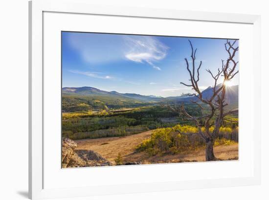 Sun sets over autumn aspen in the South Fork Two Medicine River Valley in the Lewis and Clark Natio-Chuck Haney-Framed Photographic Print