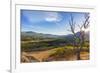 Sun sets over autumn aspen in the South Fork Two Medicine River Valley in the Lewis and Clark Natio-Chuck Haney-Framed Photographic Print