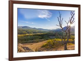 Sun sets over autumn aspen in the South Fork Two Medicine River Valley in the Lewis and Clark Natio-Chuck Haney-Framed Photographic Print