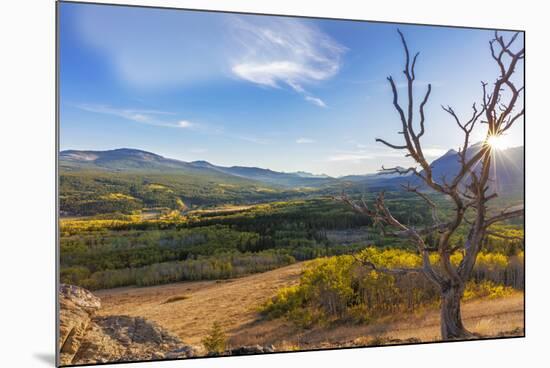 Sun sets over autumn aspen in the South Fork Two Medicine River Valley in the Lewis and Clark Natio-Chuck Haney-Mounted Photographic Print