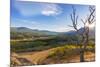 Sun sets over autumn aspen in the South Fork Two Medicine River Valley in the Lewis and Clark Natio-Chuck Haney-Mounted Photographic Print