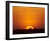 Sun Setting Behind a Silhouetted Common Zebra, Masai Mara Game Reserve, Kenya, East Africa, Africa-James Hager-Framed Photographic Print