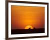 Sun Setting Behind a Silhouetted Common Zebra, Masai Mara Game Reserve, Kenya, East Africa, Africa-James Hager-Framed Photographic Print