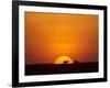 Sun Setting Behind a Silhouetted Common Zebra, Masai Mara Game Reserve, Kenya, East Africa, Africa-James Hager-Framed Photographic Print