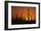 Sun Setting behind Cacti-DLILLC-Framed Photographic Print