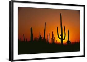 Sun Setting behind Cacti-DLILLC-Framed Photographic Print