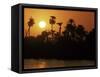 Sun Setting Behind Palms Across the River Nile's West Bank, Luxor, Thebes, Egypt-Ken Gillham-Framed Stretched Canvas