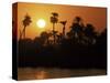 Sun Setting Behind Palms Across the River Nile's West Bank, Luxor, Thebes, Egypt-Ken Gillham-Stretched Canvas