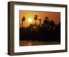 Sun Setting Behind Palms Across the River Nile's West Bank, Luxor, Thebes, Egypt-Ken Gillham-Framed Photographic Print