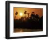 Sun Setting Behind Palms Across the River Nile's West Bank, Luxor, Thebes, Egypt-Ken Gillham-Framed Photographic Print