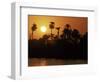 Sun Setting Behind Palms Across the River Nile's West Bank, Luxor, Thebes, Egypt-Ken Gillham-Framed Photographic Print