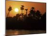 Sun Setting Behind Palms Across the River Nile's West Bank, Luxor, Thebes, Egypt-Ken Gillham-Mounted Photographic Print