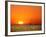 Sun-setting on a Giraffe Couple, Namibia-Janis Miglavs-Framed Photographic Print