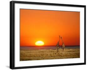 Sun-setting on a Giraffe Couple, Namibia-Janis Miglavs-Framed Photographic Print