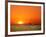 Sun-setting on a Giraffe Couple, Namibia-Janis Miglavs-Framed Photographic Print