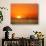 Sun-setting on a Giraffe Couple, Namibia-Janis Miglavs-Photographic Print displayed on a wall