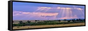 Sun Setting on the Masai Mara, Kenya-Joe Restuccia III-Framed Stretched Canvas