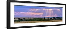 Sun Setting on the Masai Mara, Kenya-Joe Restuccia III-Framed Premium Photographic Print