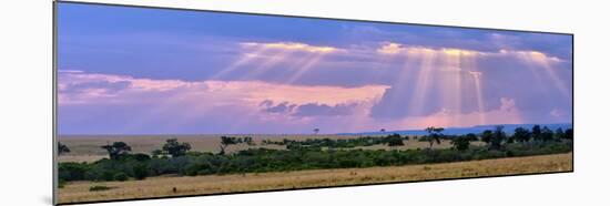 Sun Setting on the Masai Mara, Kenya-Joe Restuccia III-Mounted Premium Photographic Print