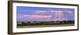 Sun Setting on the Masai Mara, Kenya-Joe Restuccia III-Framed Photographic Print