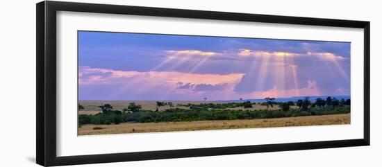 Sun Setting on the Masai Mara, Kenya-Joe Restuccia III-Framed Photographic Print
