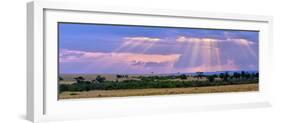 Sun Setting on the Masai Mara, Kenya-Joe Restuccia III-Framed Photographic Print