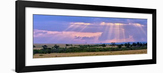 Sun Setting on the Masai Mara, Kenya-Joe Restuccia III-Framed Photographic Print