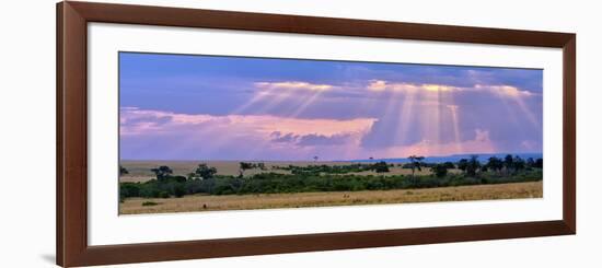 Sun Setting on the Masai Mara, Kenya-Joe Restuccia III-Framed Photographic Print