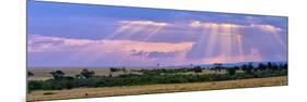 Sun Setting on the Masai Mara, Kenya-Joe Restuccia III-Mounted Photographic Print