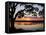 Sun Setting over Brickhill River-James Randklev-Framed Stretched Canvas