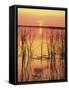 Sun Setting over Lake Hamilton-James Randklev-Framed Stretched Canvas