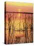 Sun Setting over Lake Hamilton-James Randklev-Stretched Canvas