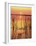 Sun Setting over Lake Hamilton-James Randklev-Framed Photographic Print