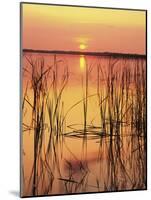 Sun Setting over Lake Hamilton-James Randklev-Mounted Photographic Print