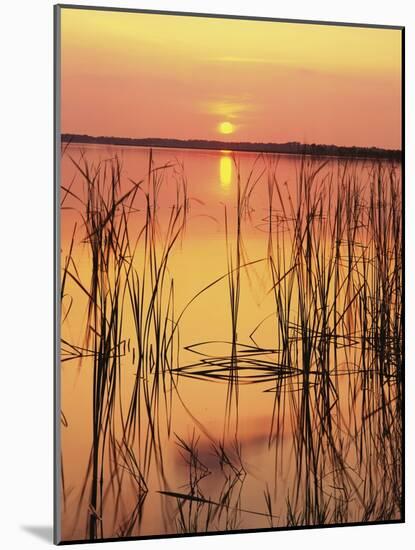 Sun Setting over Lake Hamilton-James Randklev-Mounted Photographic Print