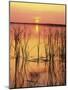 Sun Setting over Lake Hamilton-James Randklev-Mounted Photographic Print