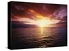 Sun Setting over Pacific Ocean-James Randklev-Stretched Canvas