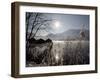 Sun Shines over Boat Houses on the Kochelsee Lake in Schlehdorf Near Murnau, Southern Germany-null-Framed Photographic Print