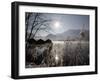 Sun Shines over Boat Houses on the Kochelsee Lake in Schlehdorf Near Murnau, Southern Germany-null-Framed Photographic Print