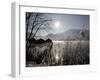 Sun Shines over Boat Houses on the Kochelsee Lake in Schlehdorf Near Murnau, Southern Germany-null-Framed Photographic Print