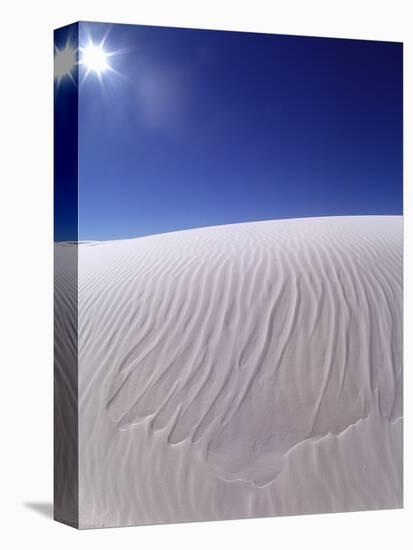 Sun Shining on Desert Sand-Jim Zuckerman-Stretched Canvas