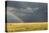 Sun Shining on Grassland under Storym and Rain-BackyardProductions-Stretched Canvas