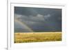 Sun Shining on Grassland under Storym and Rain-BackyardProductions-Framed Photographic Print